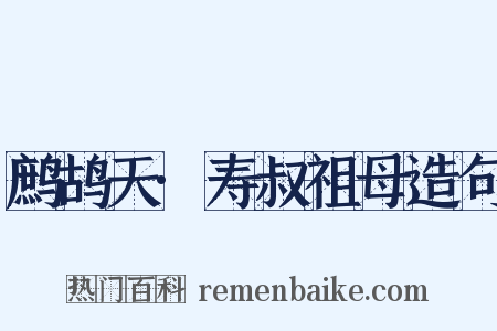 鹧鸪天·寿叔祖母造句是什么意思的图片